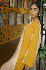 Multi Color Crepe Dress